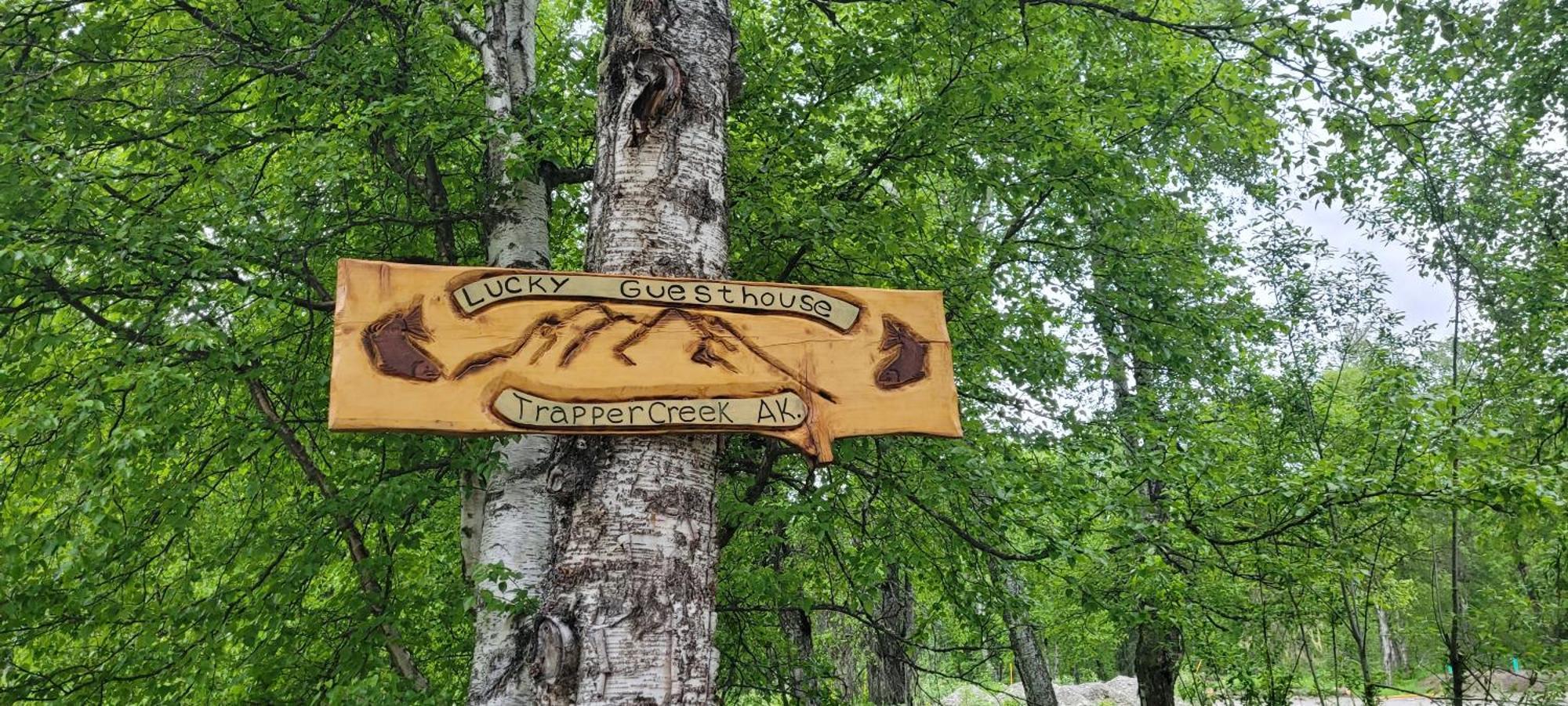 Trapper Creek Lucky Guesthouse المظهر الخارجي الصورة
